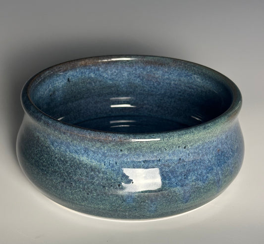 Dog Bowl